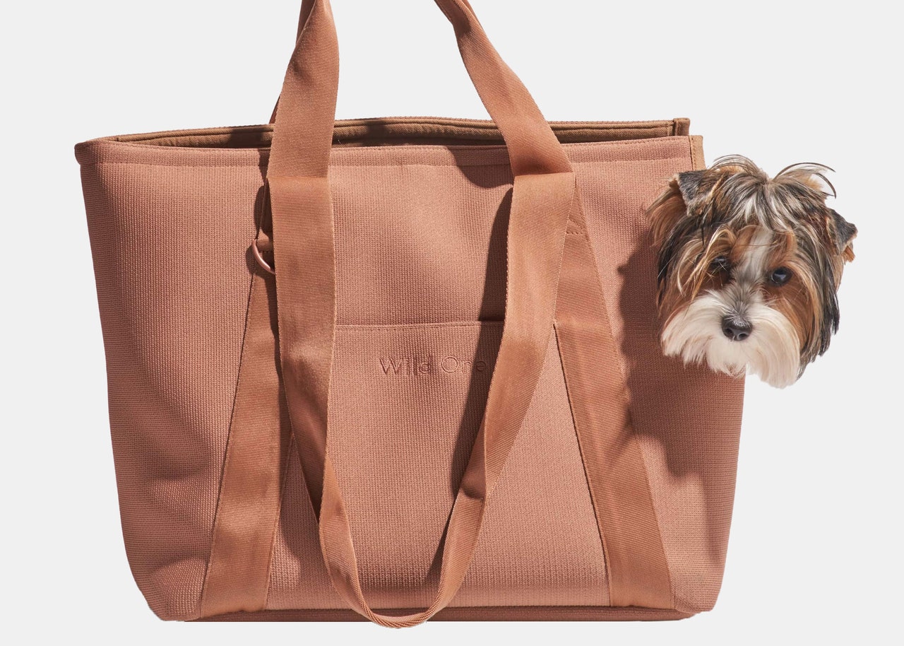 Image may contain: Bag, Tote Bag, Accessories, Handbag, Purse, Animal, Canine, Dog, Mammal, and Pet